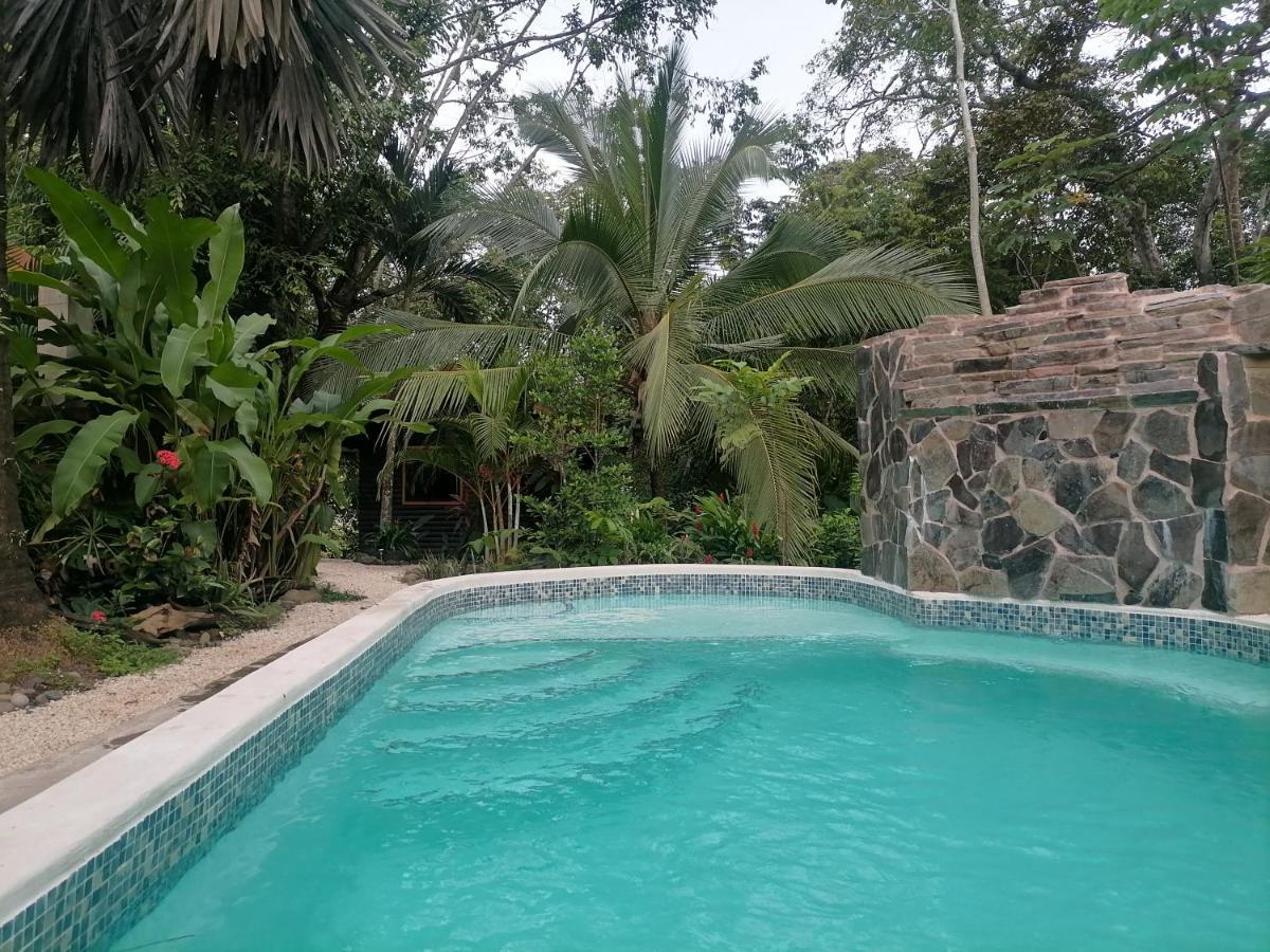 Casa El Colibri Bed and Breakfast Parrita Exteriör bild