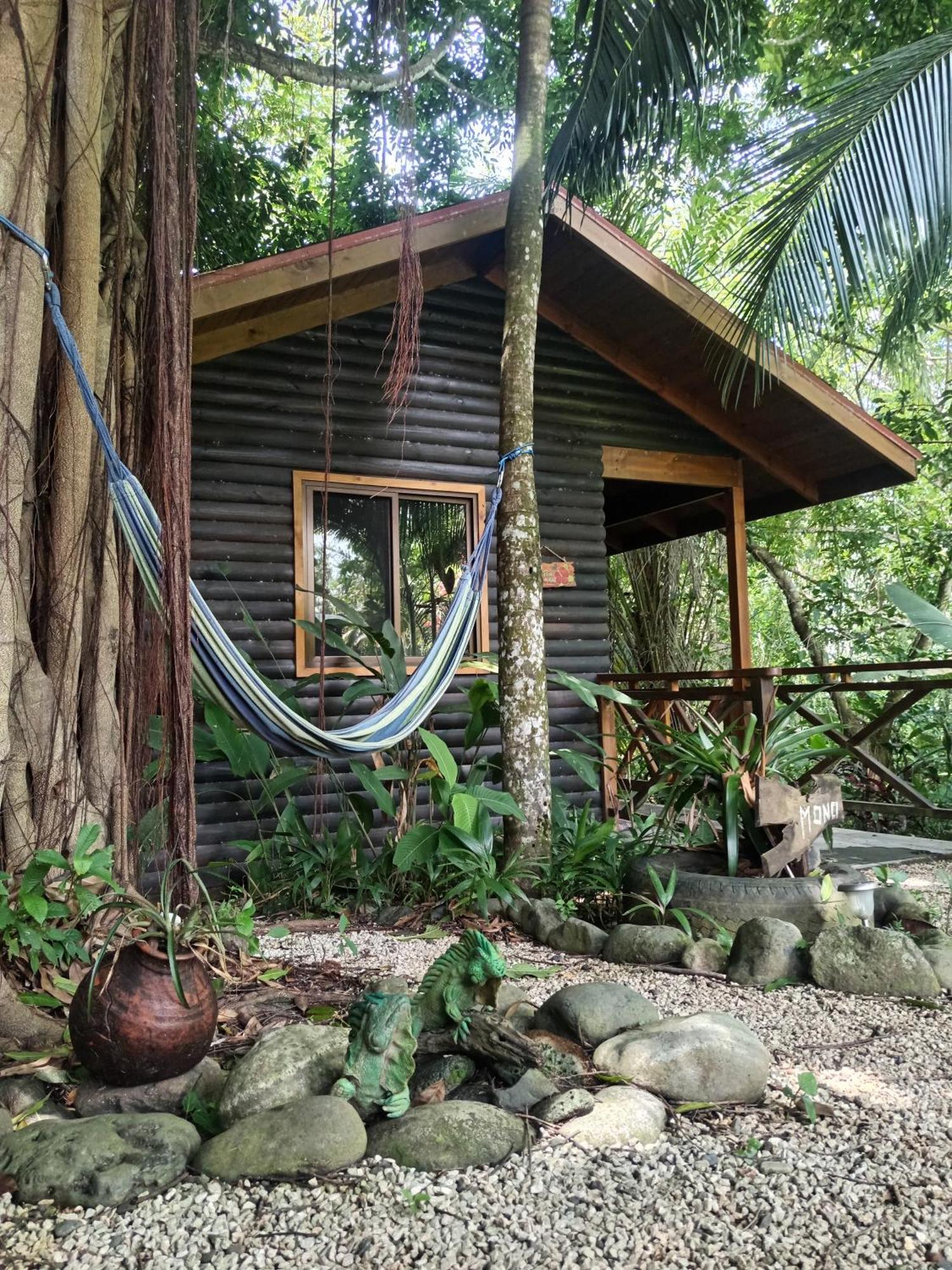 Casa El Colibri Bed and Breakfast Parrita Exteriör bild